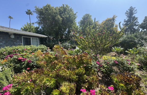 Board and Care in Riverside California 92506 at easeplacement.com - Ease Placement