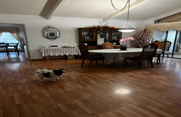 Board and Care in Saratoga California 95070 at easeplacement.com - Ease Placement