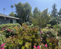 Board and Care in Riverside California 92506 at easeplacement.com - Ease Placement