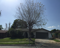 Board and Care in Alta Loma California 91701 at easeplacement.com - Ease Placement