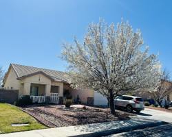 Board and Care in Lancaster California 93536 at easeplacement.com - Ease Placement