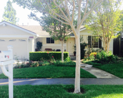 Board and Care in San Jose California 95129 at easeplacement.com - Ease Placement